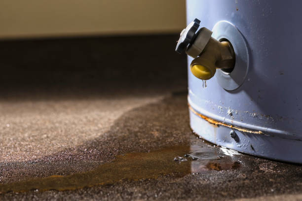 Best Flood damage cleanup  in Hazardville, CT