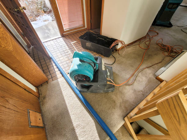 Best Residential water damage restoration  in Hazardville, CT