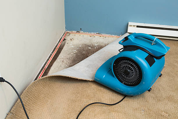 Best Commercial water damage restoration  in Hazardville, CT